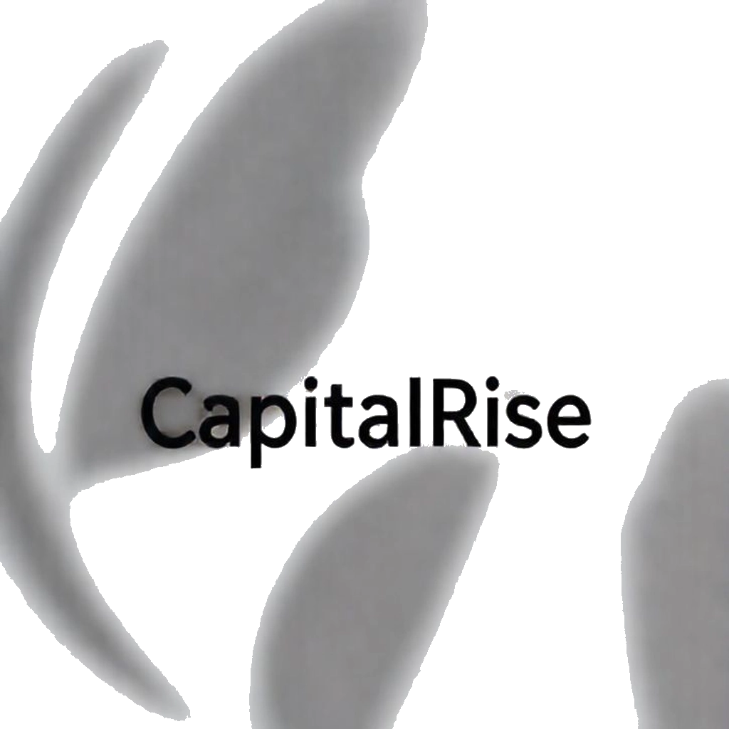 CapitalRise Logo